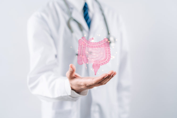 Gut & Digestion